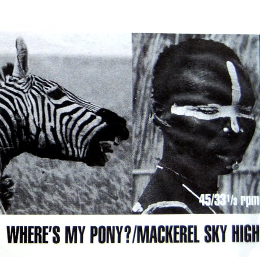 Mexican Pony