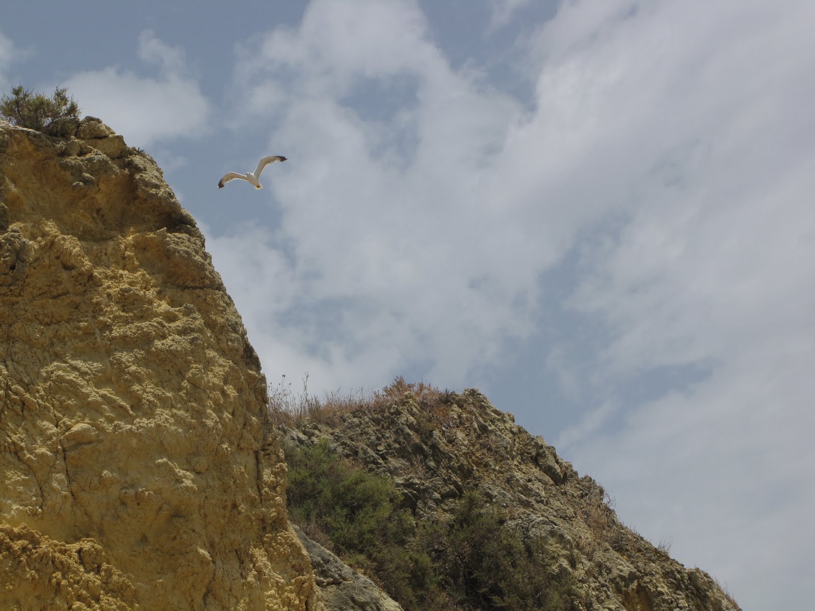 [Lagos+2009+007.jpg]