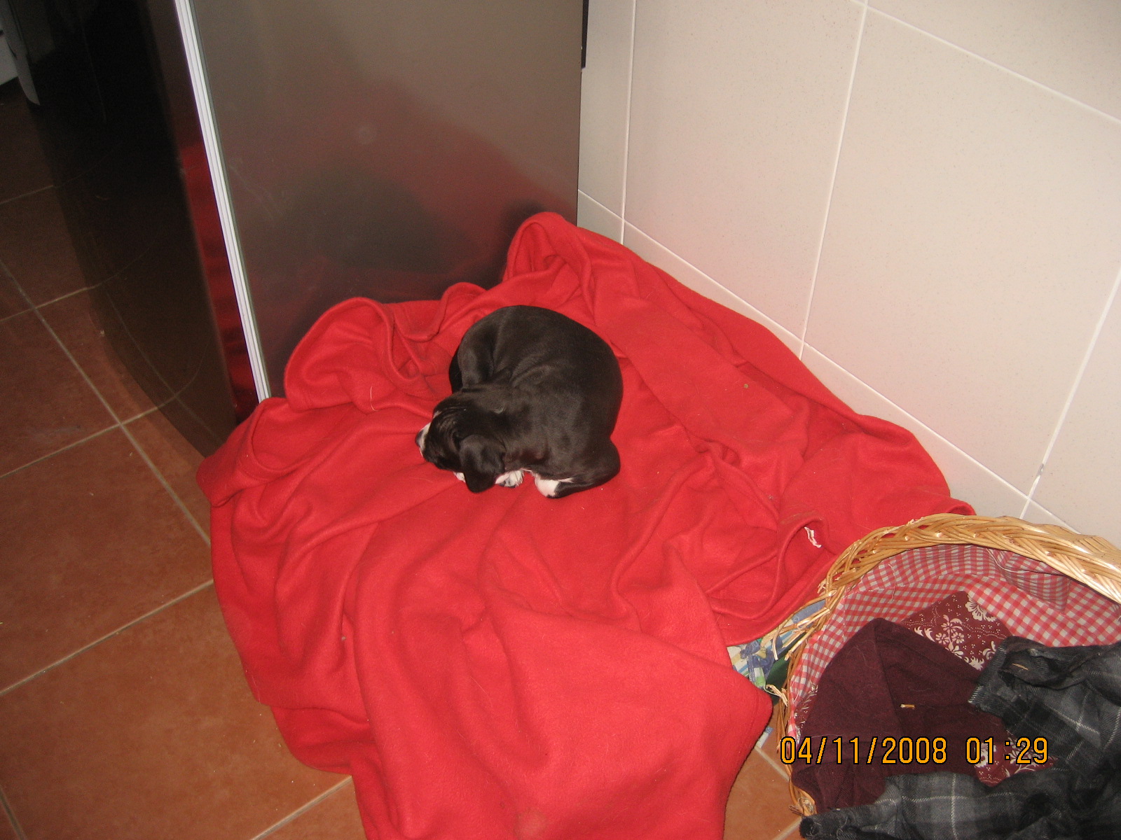 [IMG_4182.JPG]