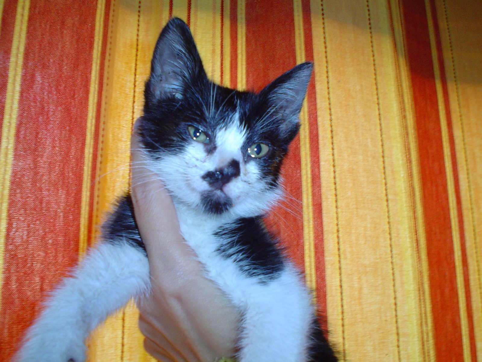 [DSC00182.JPG]