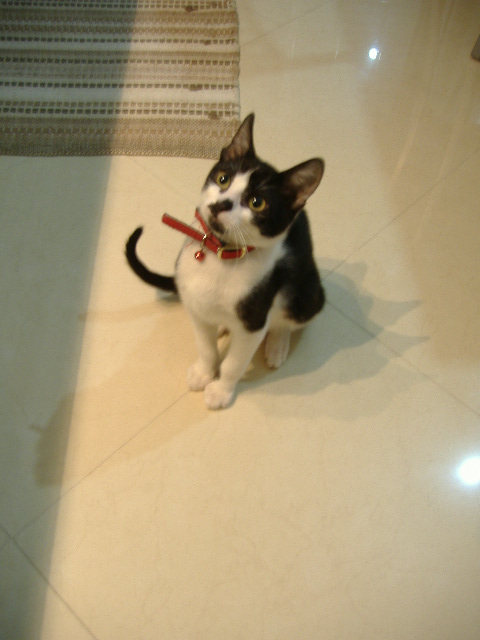 [DSCF1799.JPG]