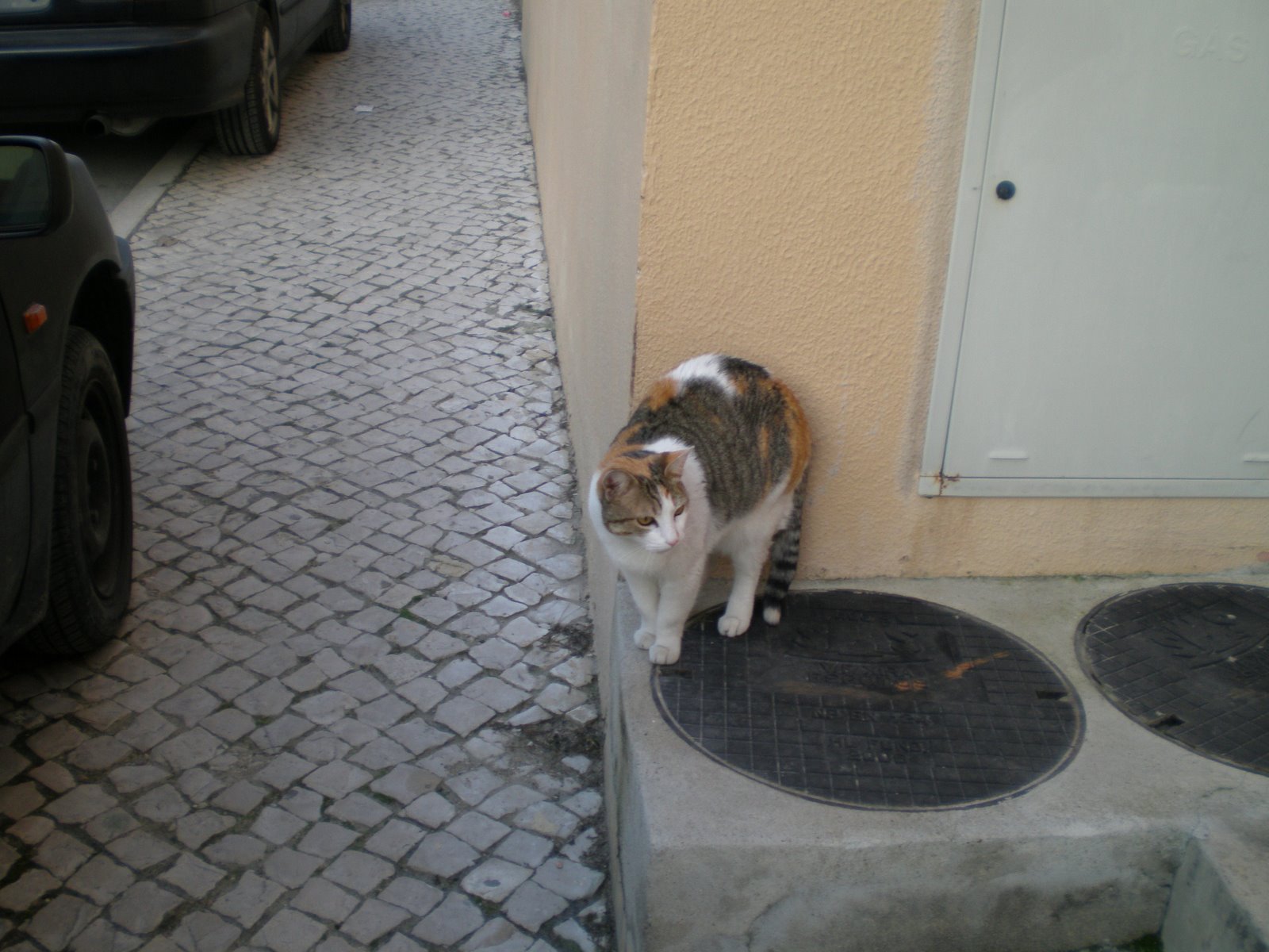 [P2150026.JPG]