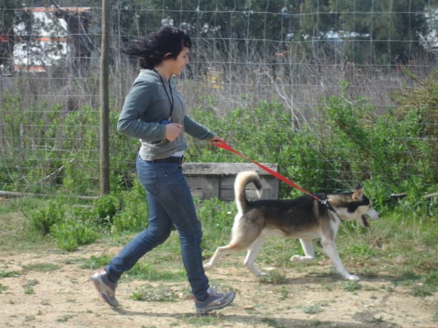 [DSC04527.JPG]