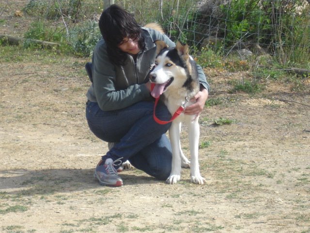 [DSC04529.JPG]