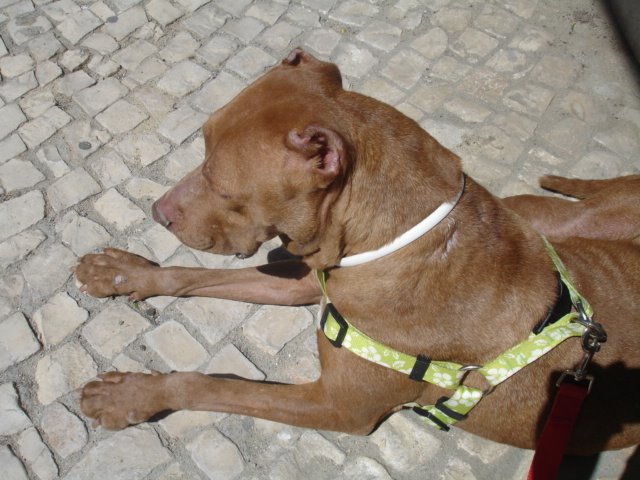 [DSC04540.JPG]