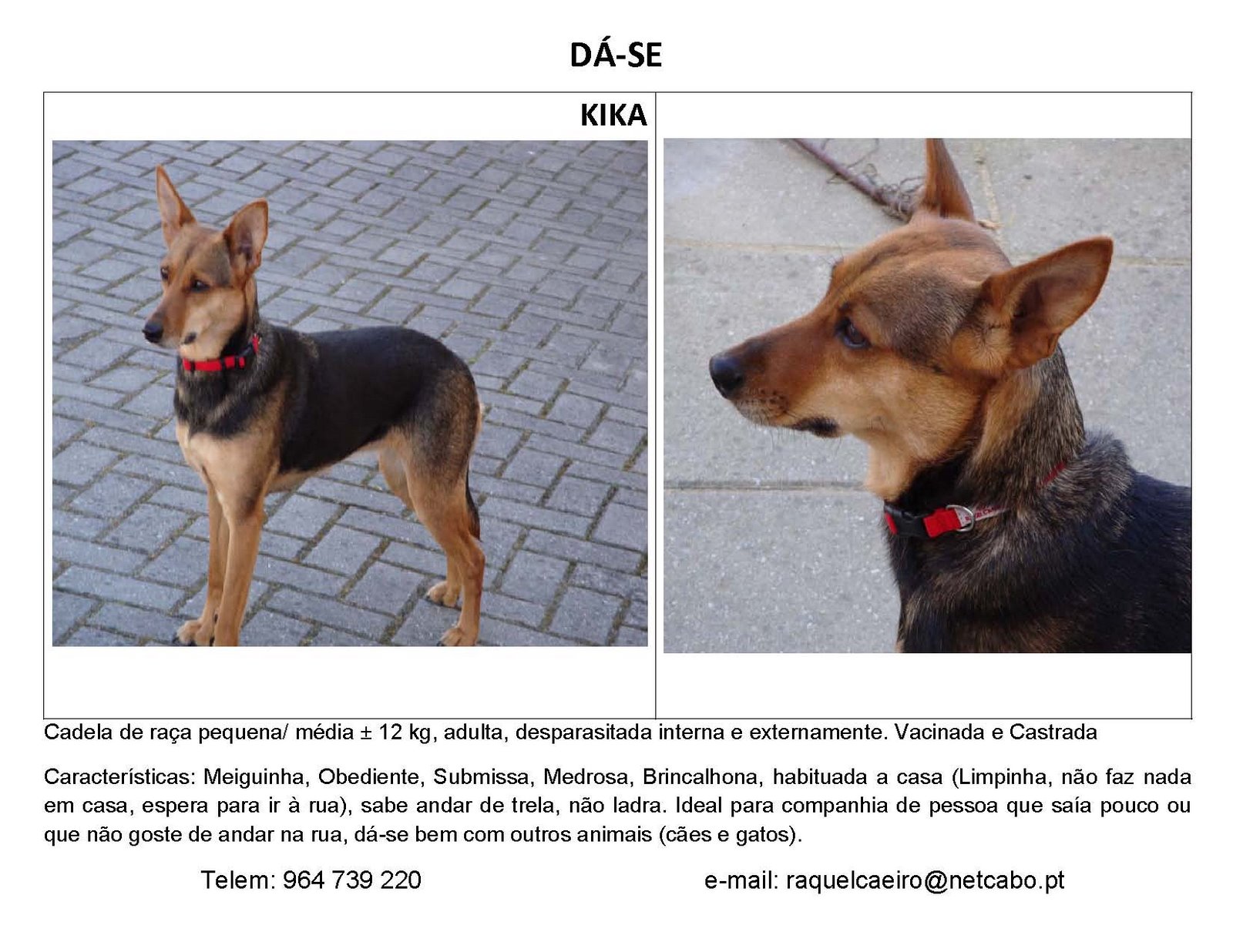 [kika1.jpg]