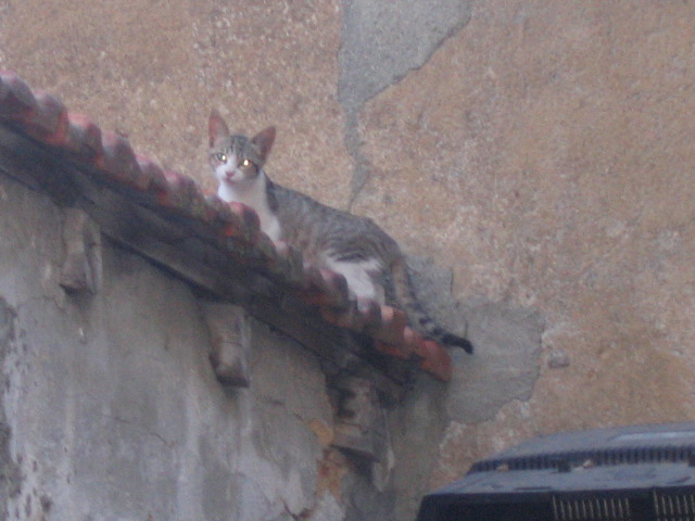 [IMG_1051.JPG]