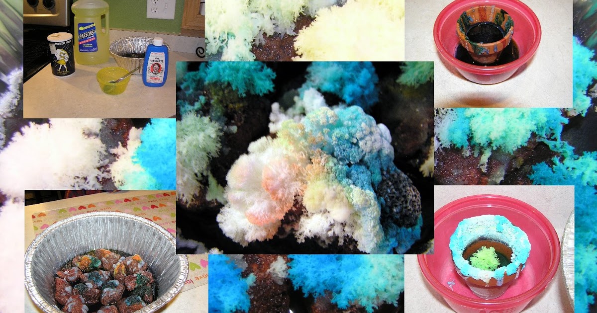 Homegrown Catholics St Brigids Academy Blog Growing A Crystal Garden