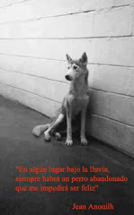 No le abandones