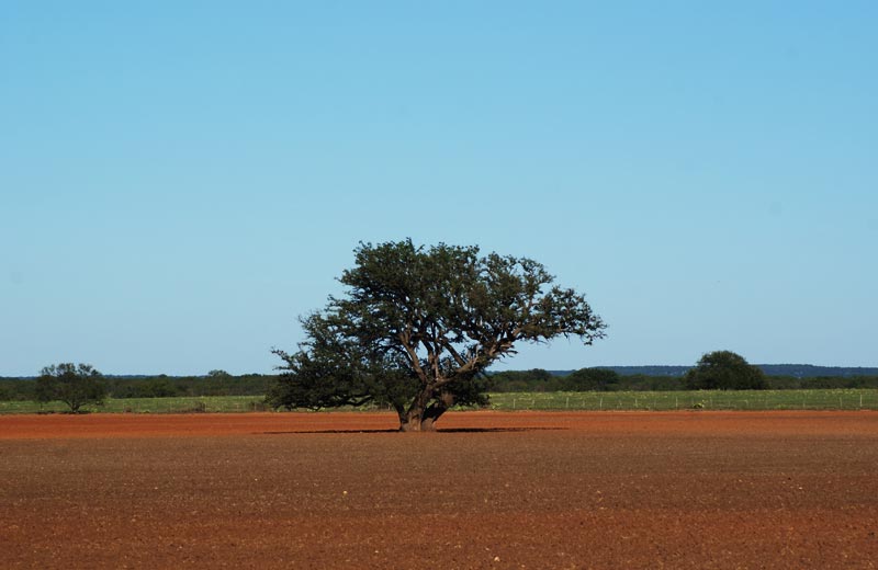 My big adventure My trip down to Rowena Texas