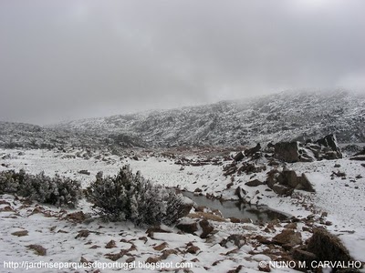 [SERRA_DA_ESTRELA_PORTUGAL_2.jpg]