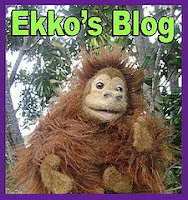 a picture of ekko the stuffed animal monkey