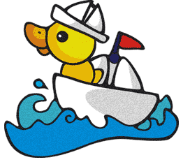 duck on the water