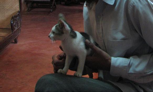 [IMG_0413a.JPG]