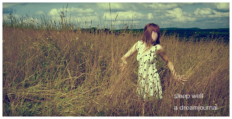 Sleep Well - Su's Dreamjournal