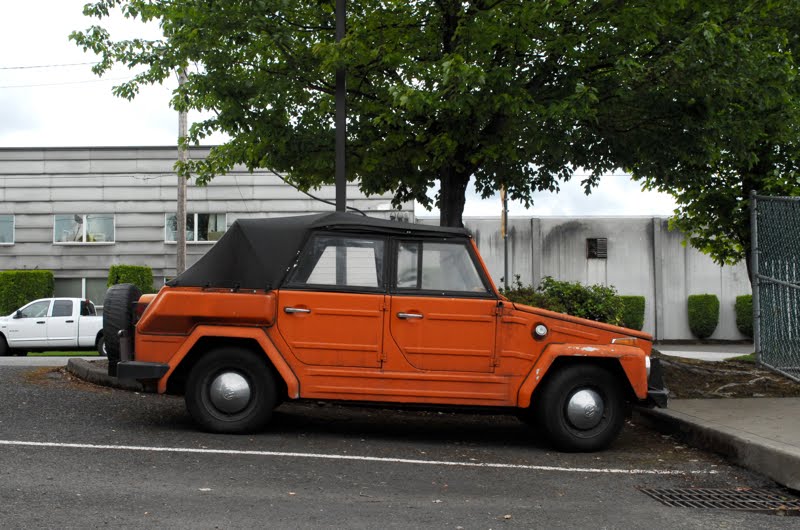 Safari Vw