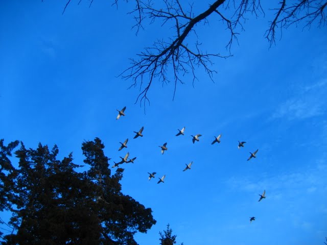 [IMG_5792.JPG]