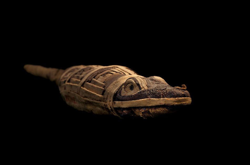 Jassy World Ancient Egyptian Pet Mummies