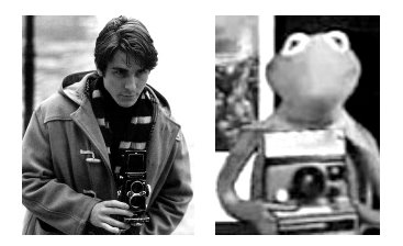 [kermit02.jpg]
