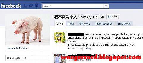babi melayu