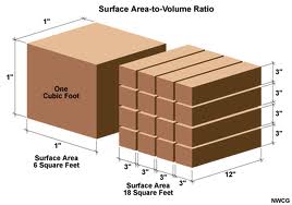 There is an inner circle and an outer circle around a square. what is MATHS WORLD