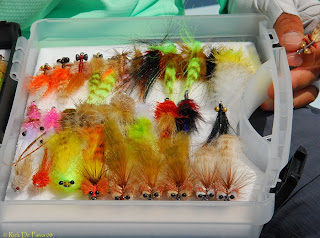 Fly Fish Addiction: Saltwater Top Fly Fishing Flies!