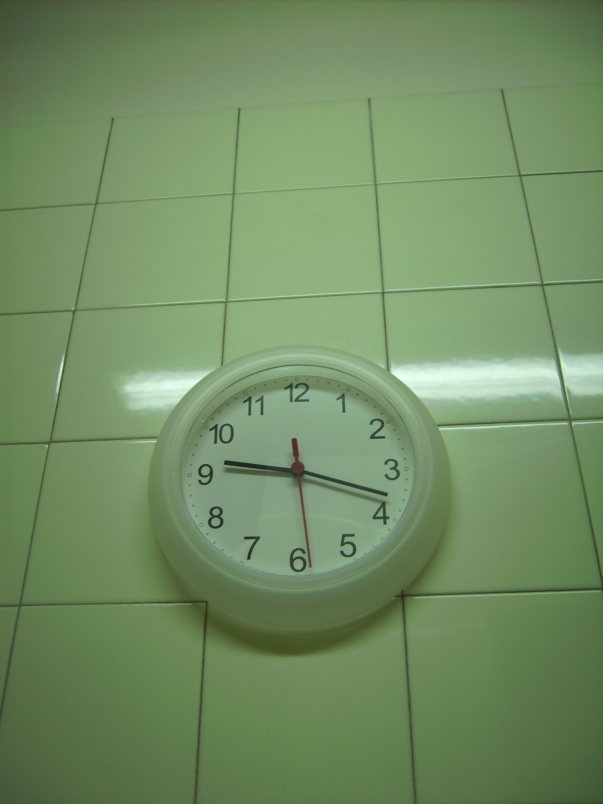 [PICT0144.JPG]