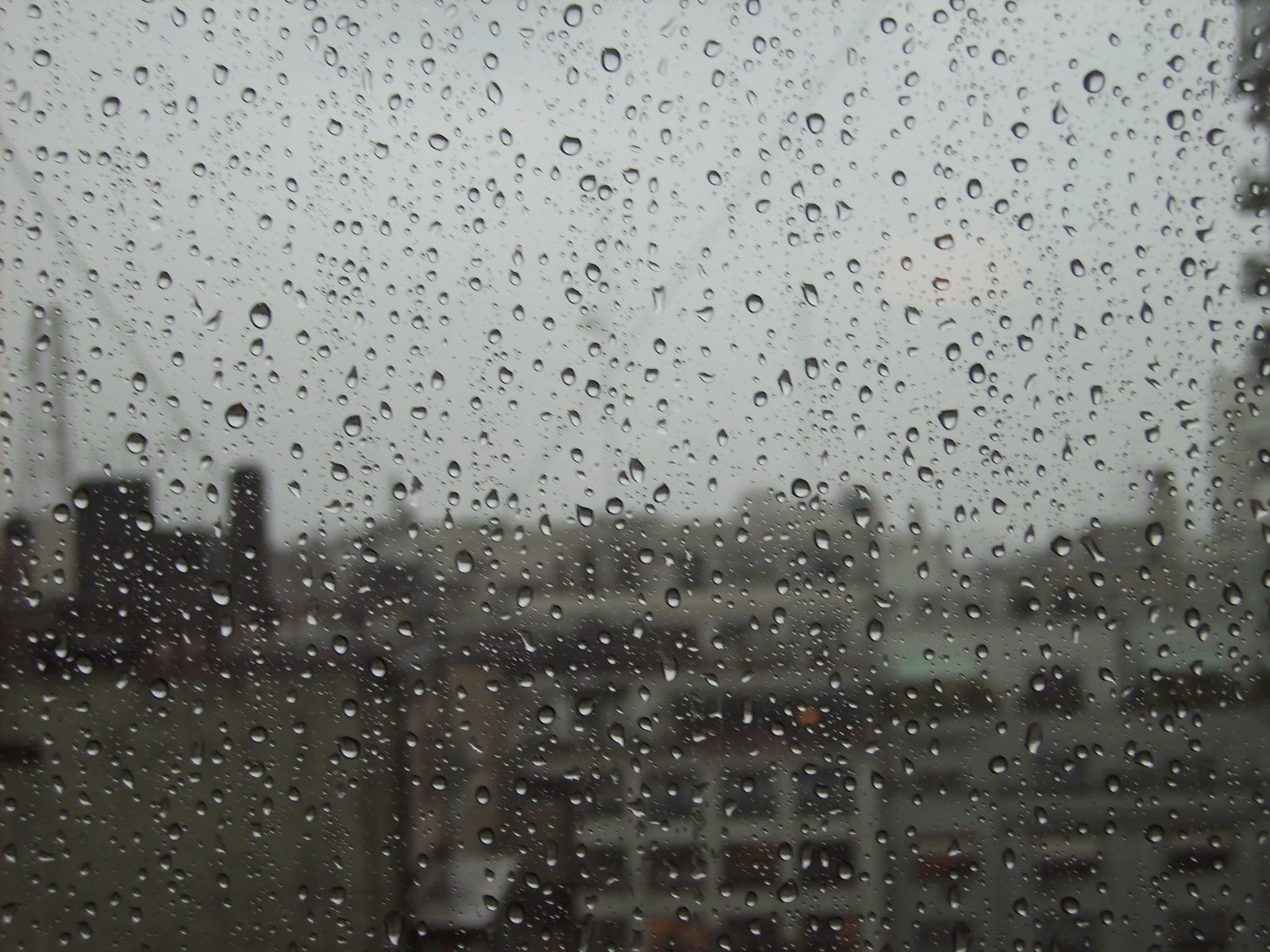 [PICT0006.JPG]