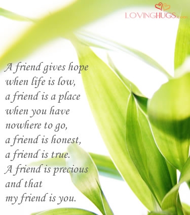 Lost Friendship Quotes: Lost