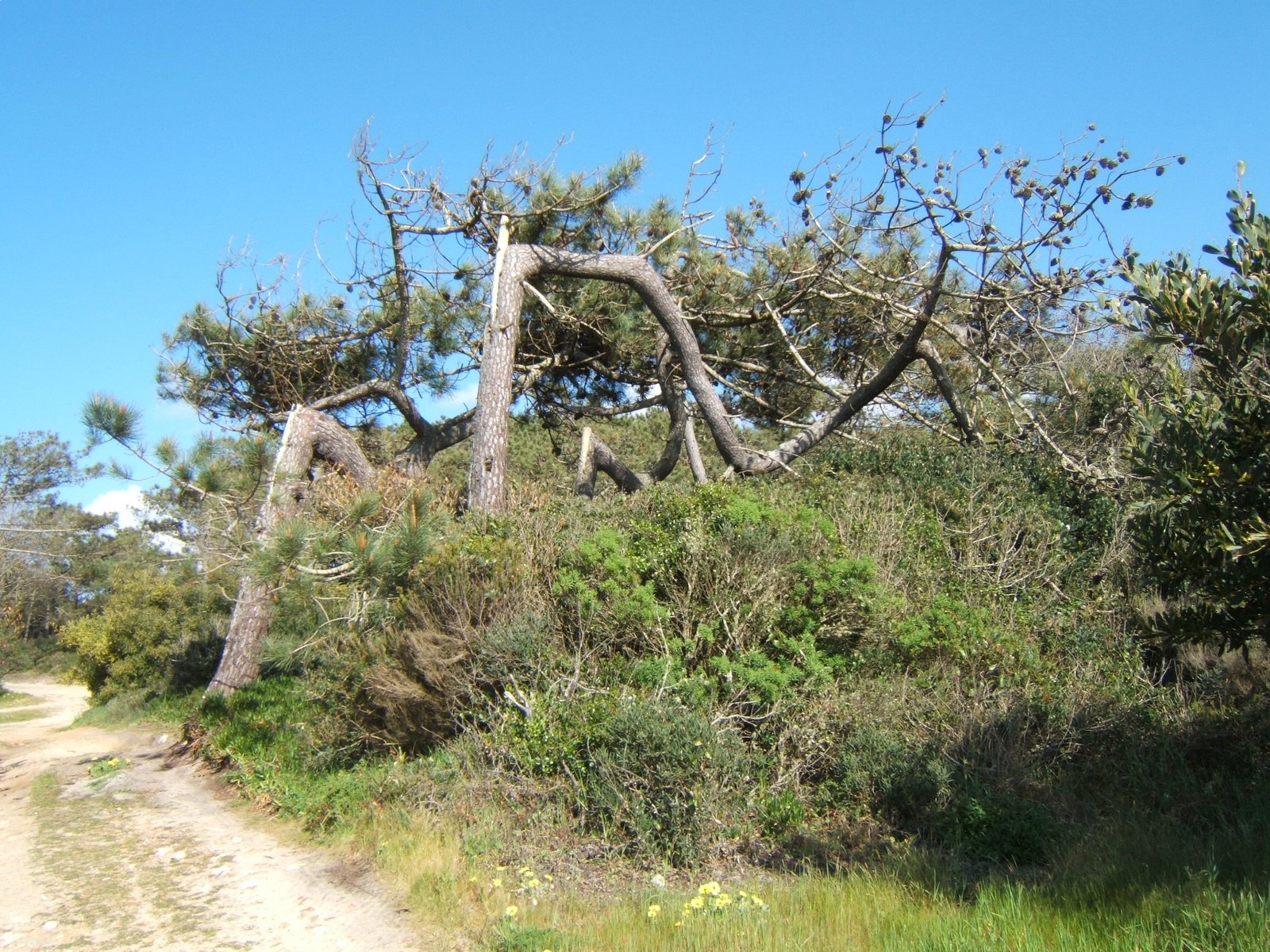 [DSCF1289.JPG]