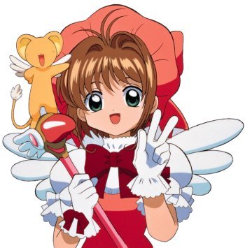 [ccs1.jpg]