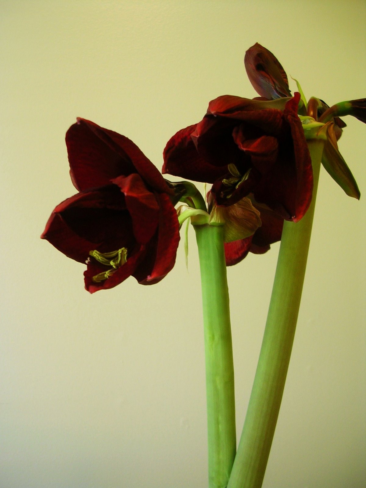 [DSCN3812.JPG]