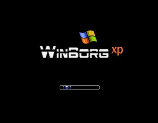 winborg xp