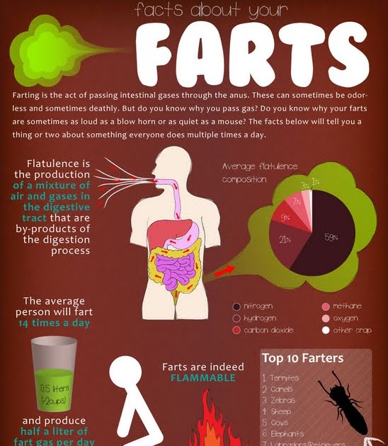 On the powder lifehacks, protips and random info Facts about farts