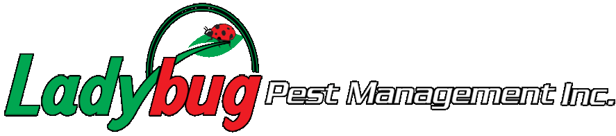 Ladybug Pest Management