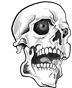 free skull vector