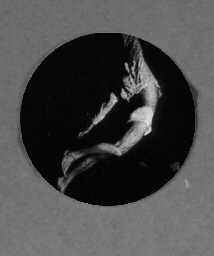 [Oculus_1.jpg]