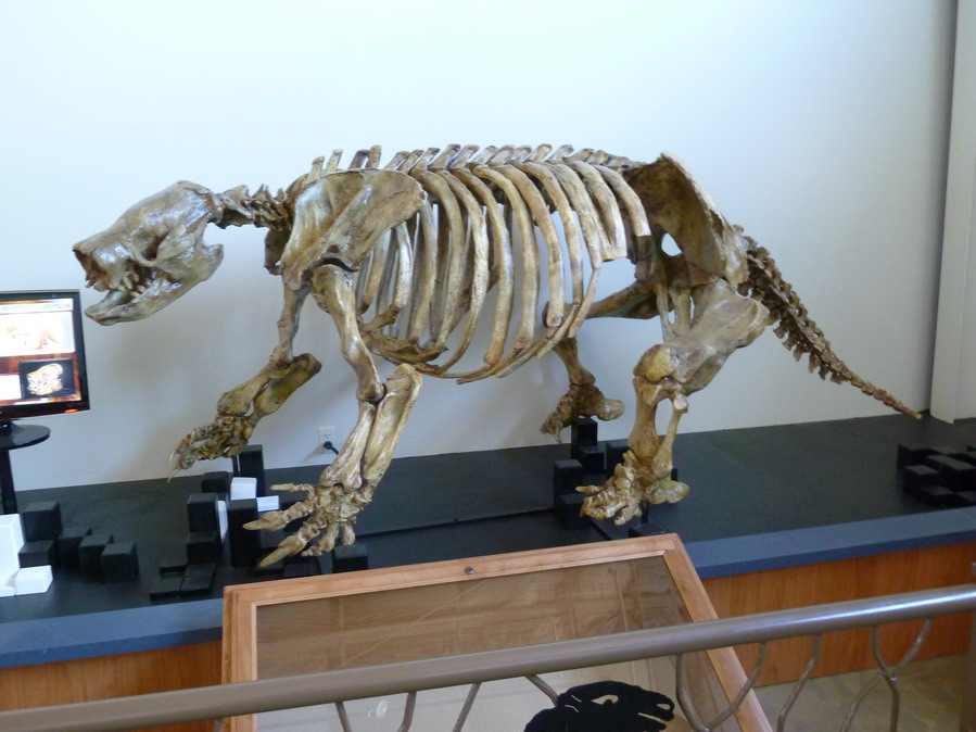 Northern California Nature Photography Fossil Discovery Center