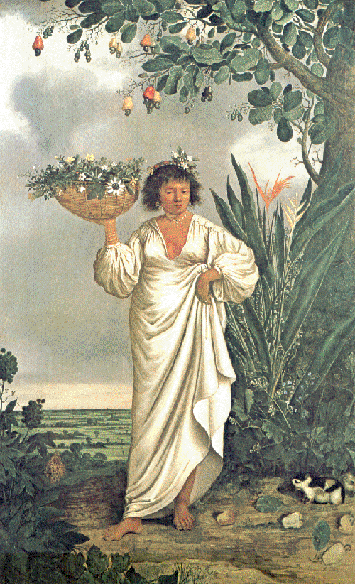 [MAMELUCA.gif]