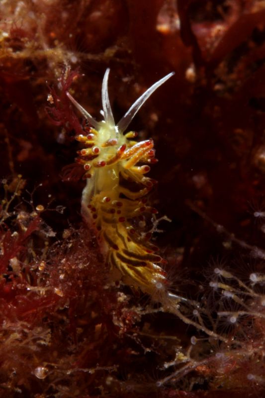 [CRW_0442_small.jpg]