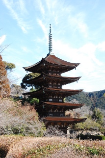瑠璃光寺五重塔の写真