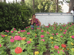 Variedad de flores que se cultivan en uno de los parques de Houston