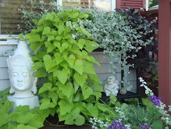 My welcoming porch