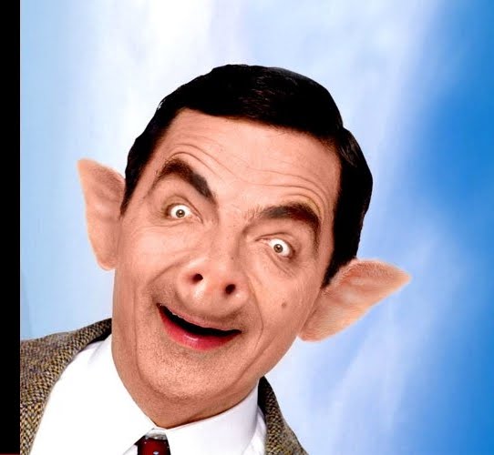 mr bean pig