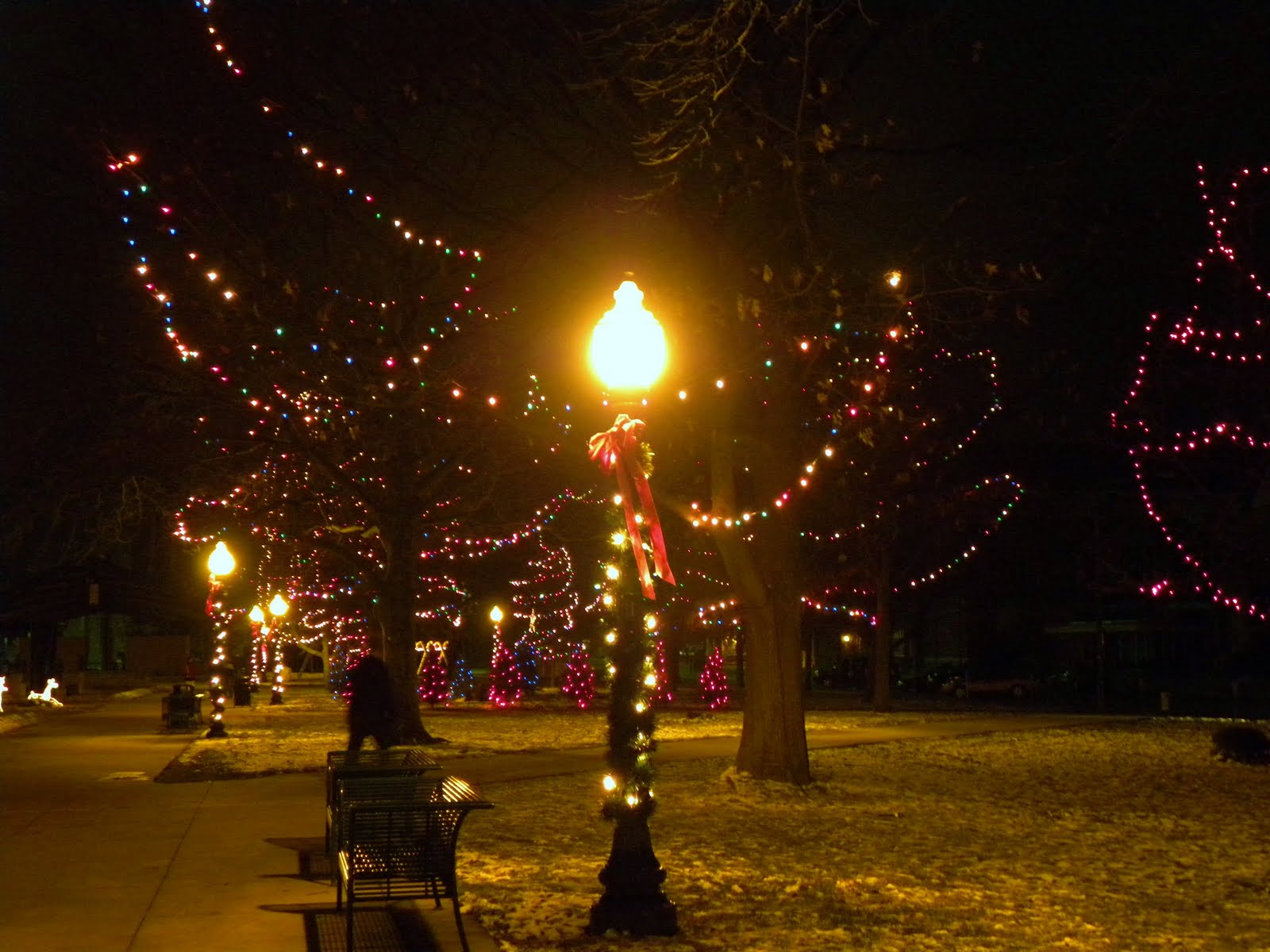 Kalamazoo In Pictures Christmas Lighting, Bronson Park Kalamazoo
