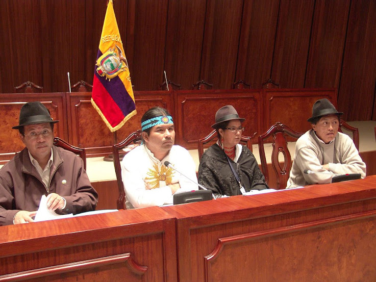 Se presentó proyecto de Ley para respetar la Pachamama y Derechos de la Naturaleza.