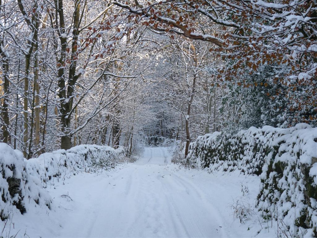 I Love Arnside & Silverdale Dalton (Burton In Kendal) Snow Photos from