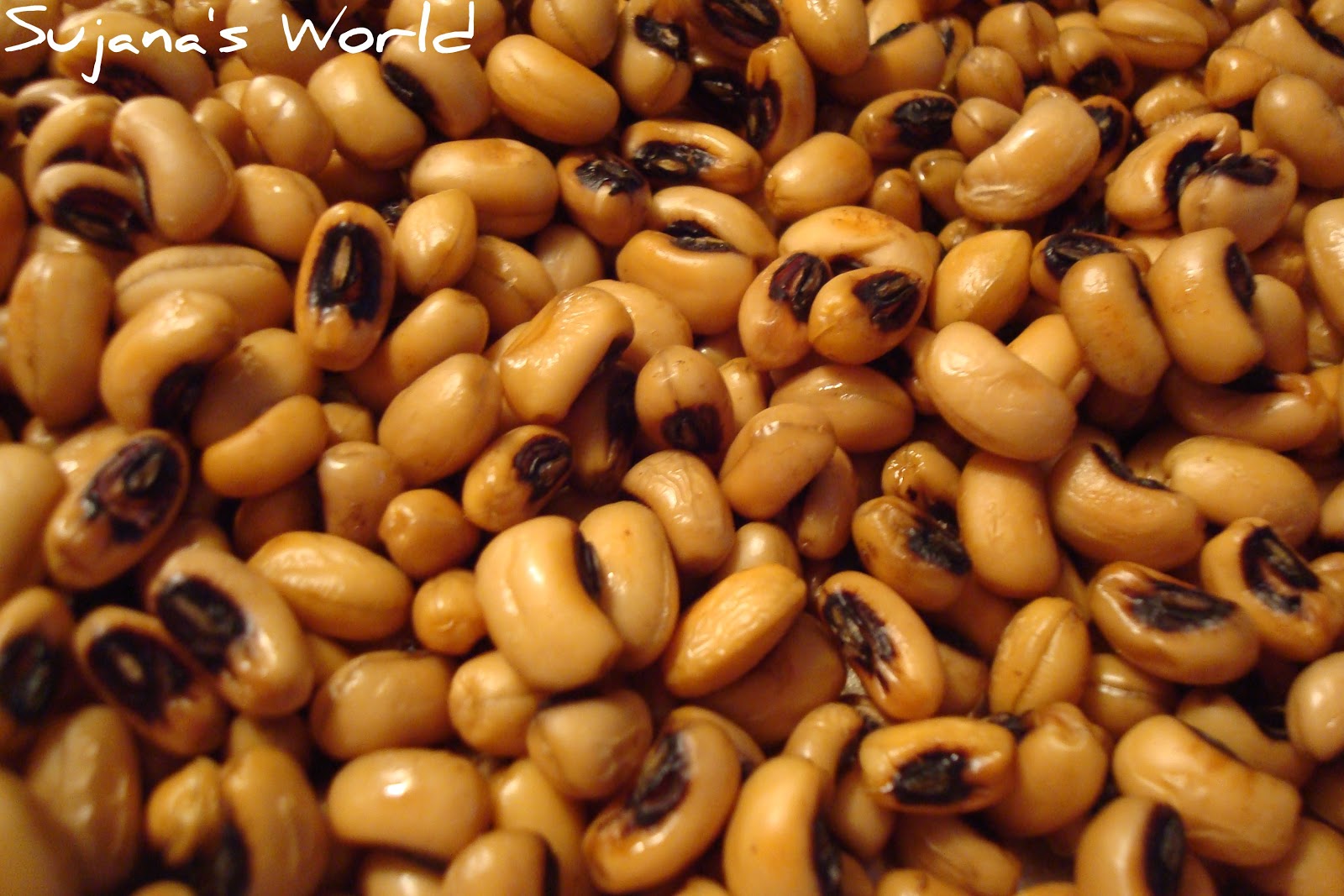 Sujana's World Baked Black Eyed Peas (Alasandalu/Bobbarlu)