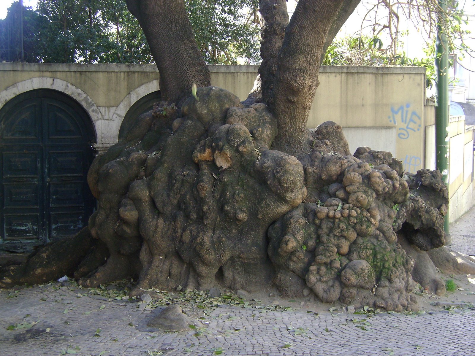 [DSC01295.JPG]