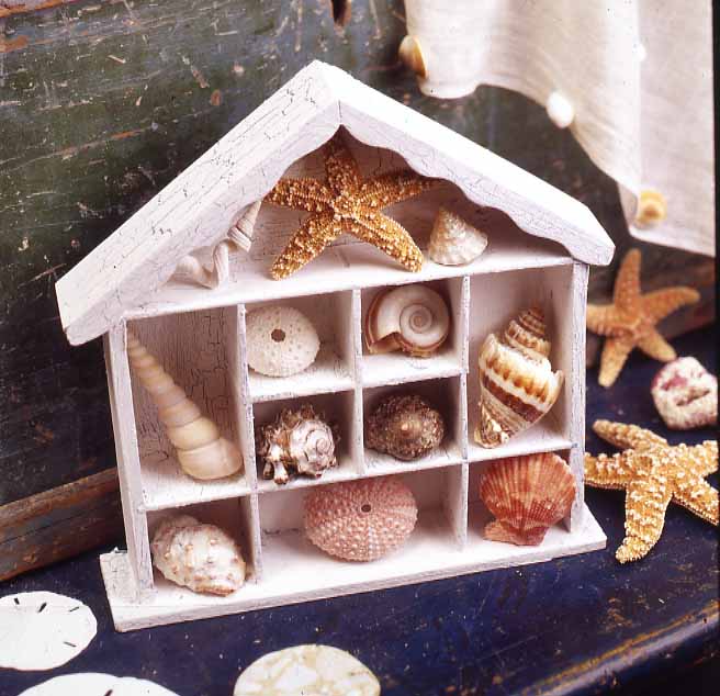 [a+shell+house.jpg]